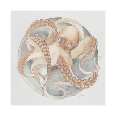 Who Stole My Precious II (38 x 38) Canvas Art Print