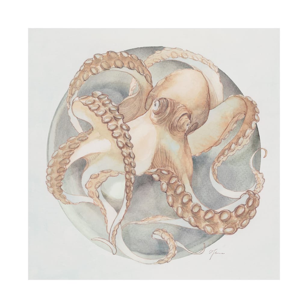 Who Stole My Precious II (38 x 38) Canvas Art Print