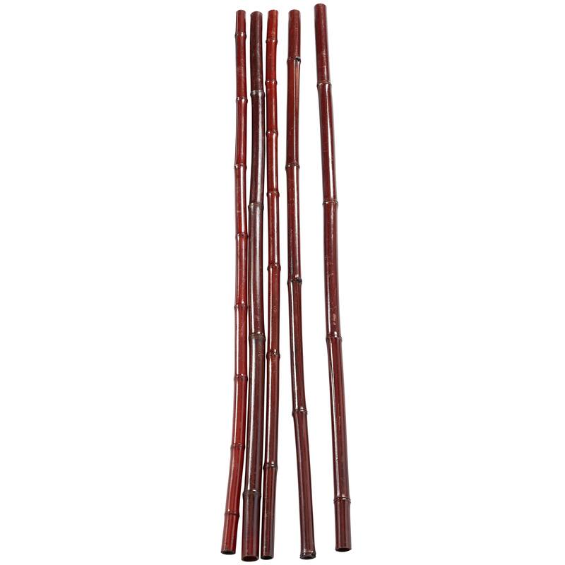 Dried Hogla Babala Bamboo Natural Foliage Collection - Multiple Colors