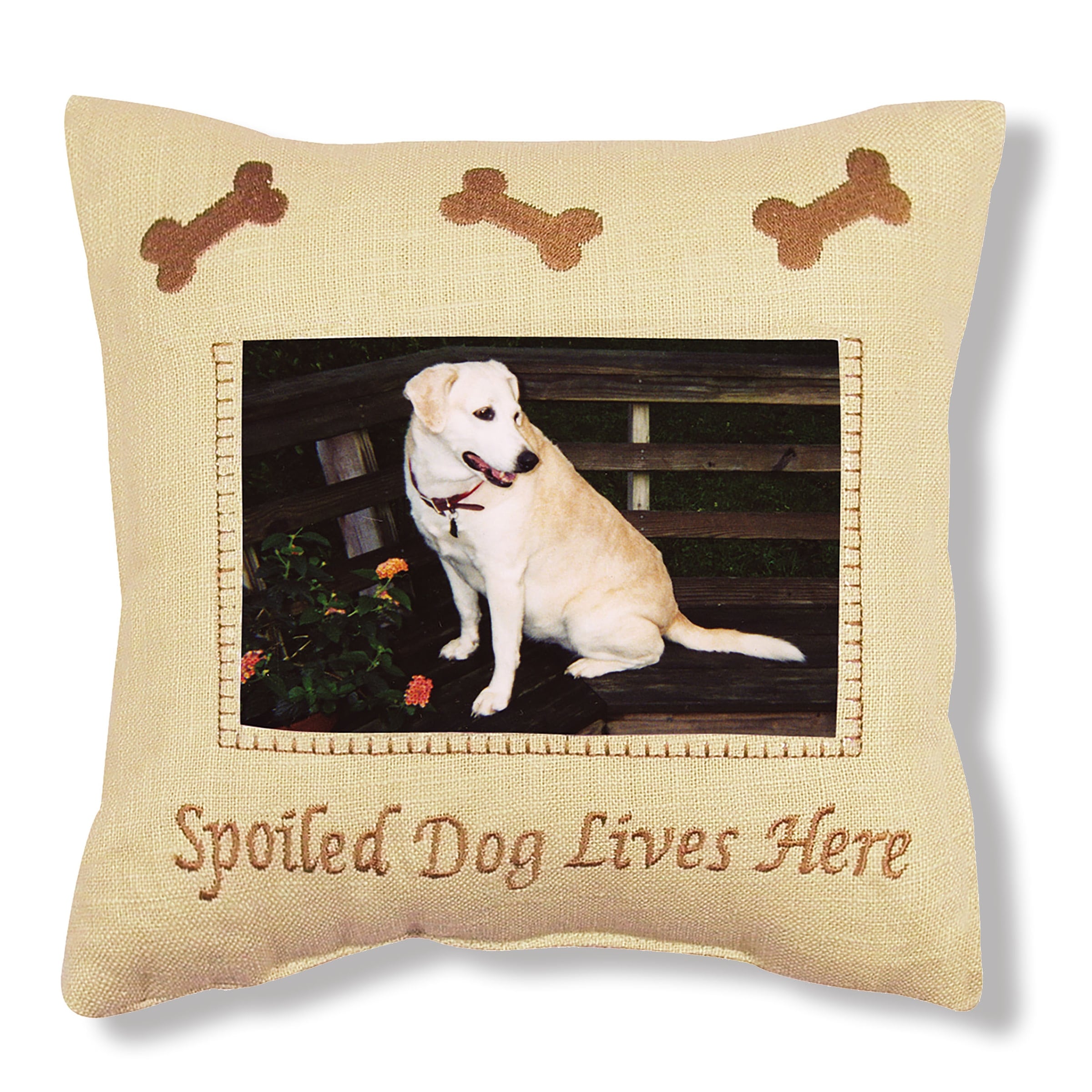 10" x 10" Spoiled Dog Embroidered Picture Throw Pillow