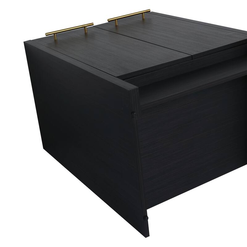 24" Bathroom Vanity with Soft-Close Doors and Spacious Storage, Black Chestnut Finish, Freestanding Design, Vanity Base Only