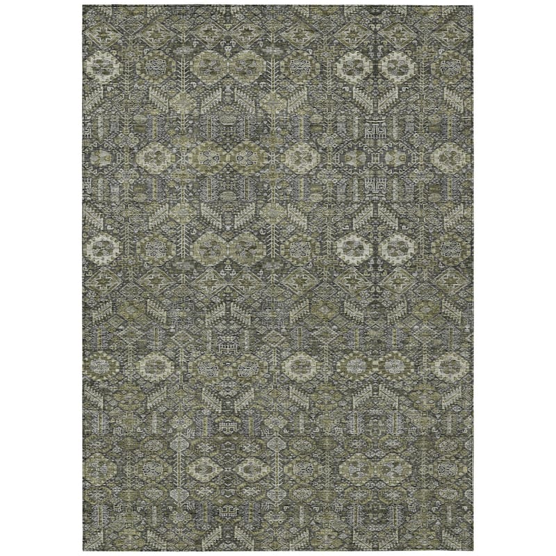 Machine Washable Indoor/ Outdoor Traditional Boho Chantille Rug