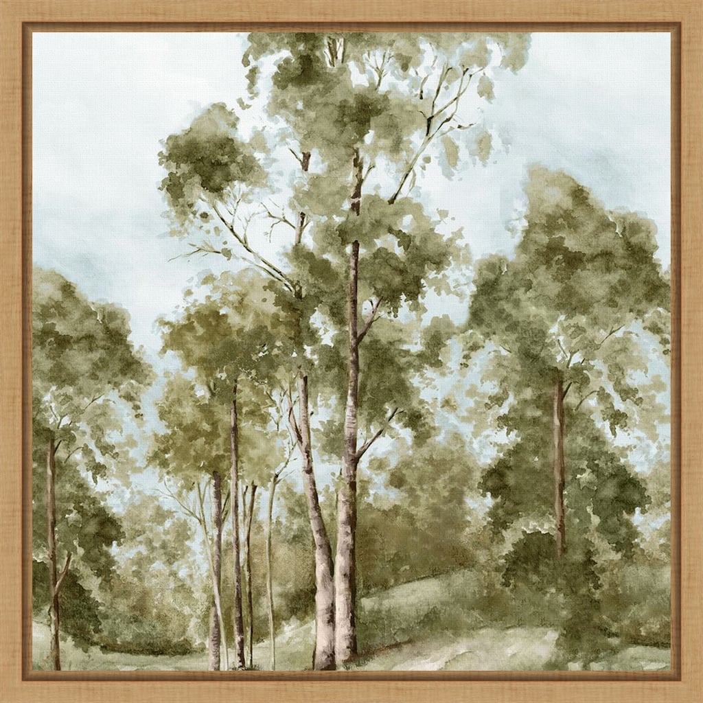 Pathway Through Tranquil Woods by PI Studio Framed Canvas Wall Art Print