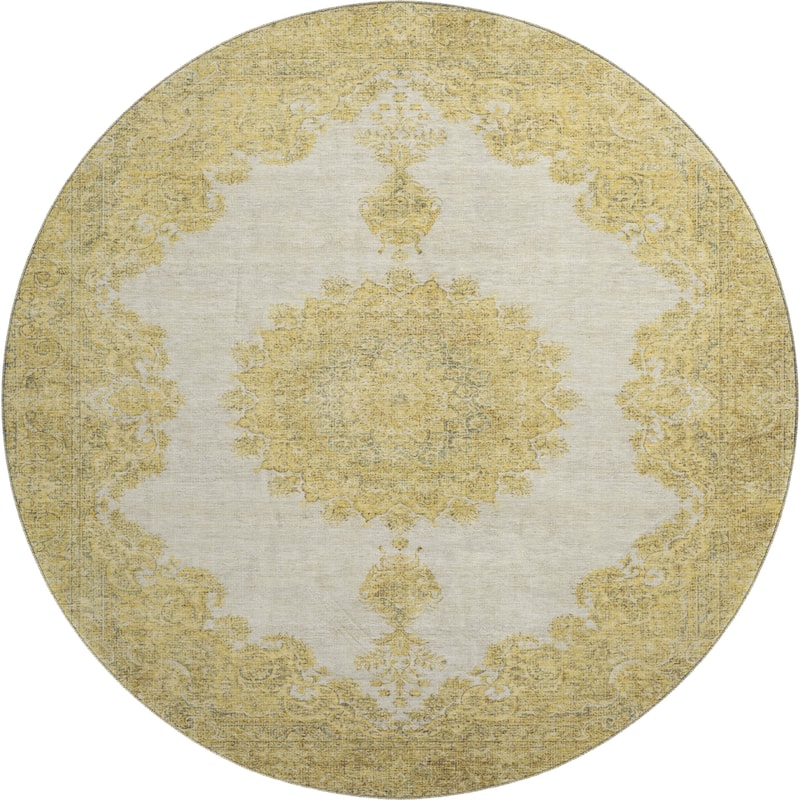 Premium Washable Super Soft Vintage Traditional Mayfield Rug