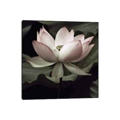 iCanvas "The Lotus I" by Andy Neuwirth Canvas Print