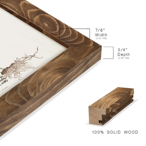 dimension image slide 19 of 21, Nature Printed Ferns IX -Framed Print w/glass-Cherry Red