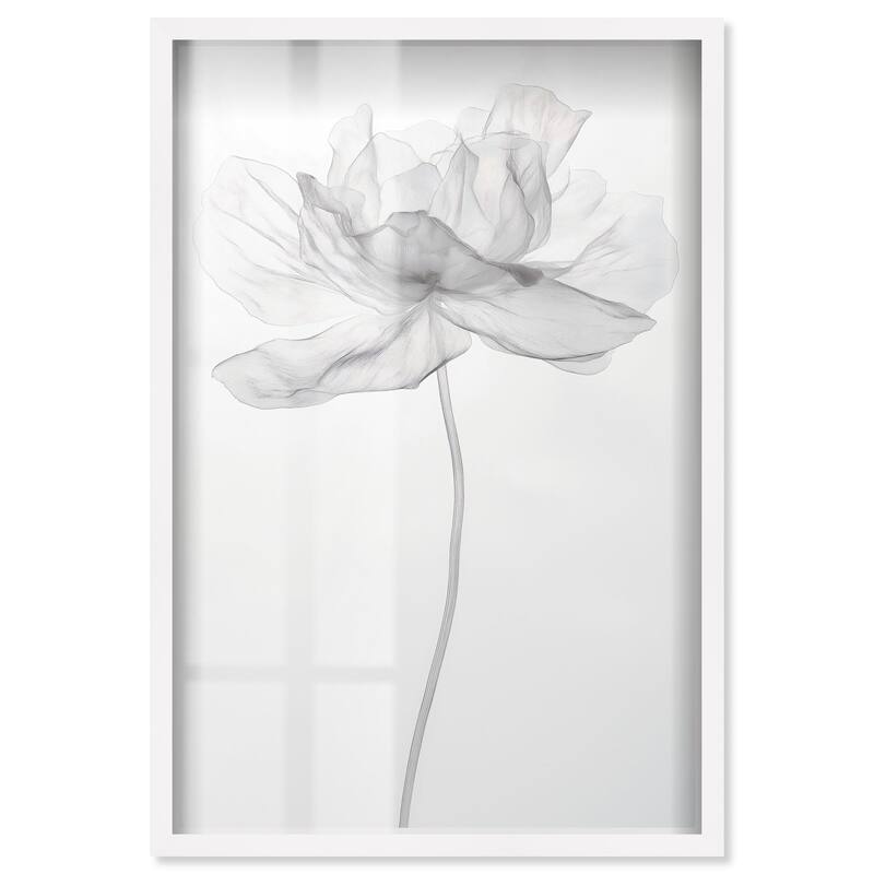 Fragile Beauty II Shadowbox by Art Remedy - White - 36" x 54"