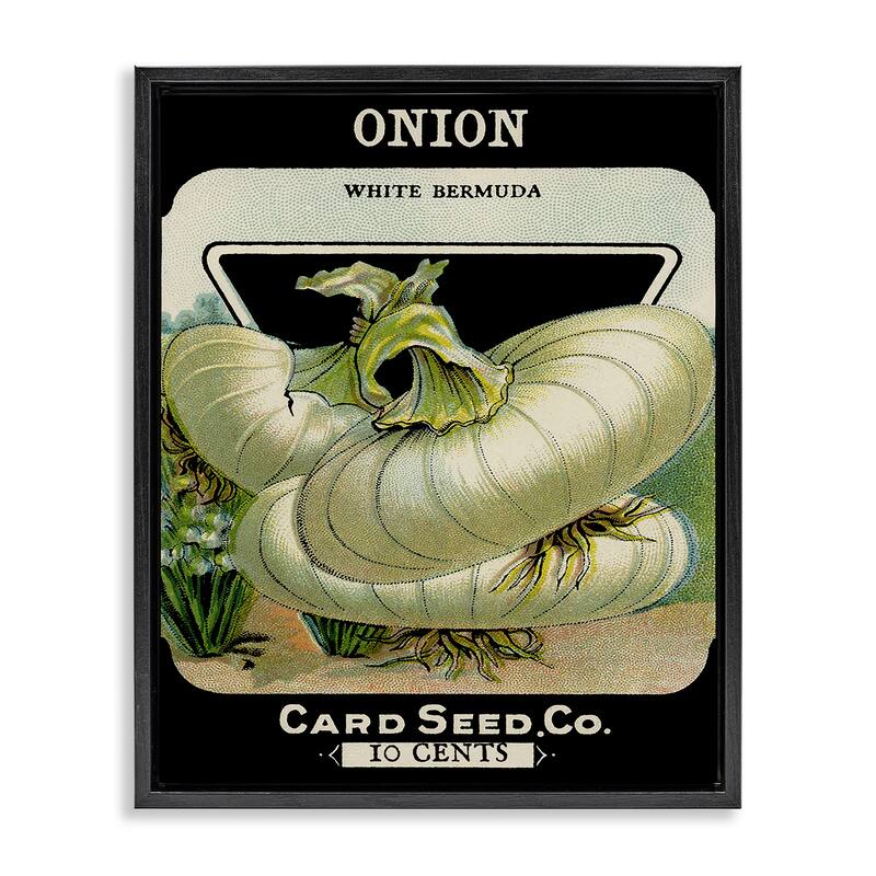 Stupell Vintage Garden Onion Framed Floater Canvas Wall Art Design By Lil' Rue - 17 x 21 - Black