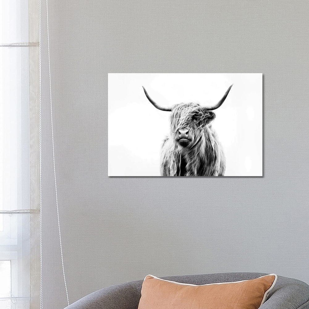 iCanvas 'Portrait Of A Highland Cow' Canvas Print by Dorit Fuhg