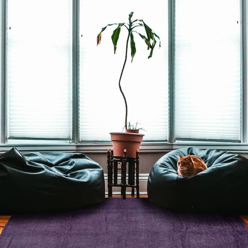 ECARPETGALLERY Hand-knotted Finest Peshawar Ziegler Purple Wool Rug - 11'10 x 13'2