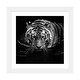 preview thumbnail 14 of 18, iCanvas "Tiger In Water, Black & White" by Lukas Holas PFA White - 16x16x1