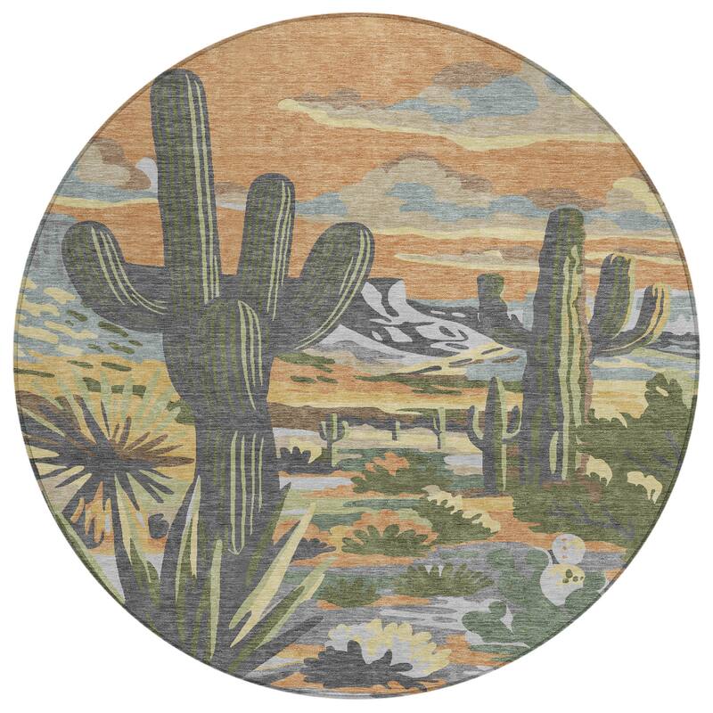 Machine Washable Indoor/ Outdoor Southwestern Mesa Chantille Rug