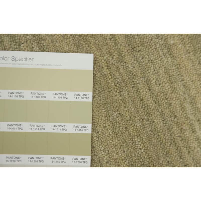 Hand Knotted Oriental 100% Wool Carpet Tribal Animal Pictorial Beige & Ivories Gabbeh Area Rug - 11' 8'' X 4' 11''
