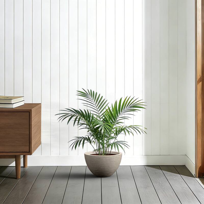 Concrete Round Loghtweight Planterwith Drainage Holes