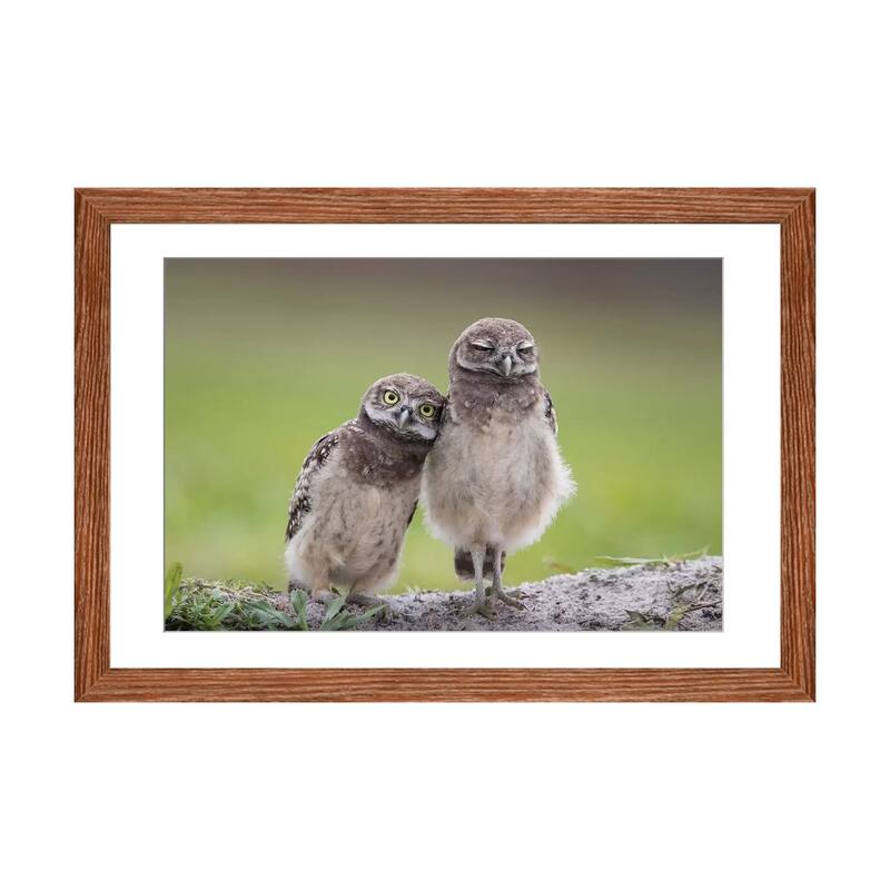 iCanvas "Friends" by Greg Barsh - Walnut - 24x32x1