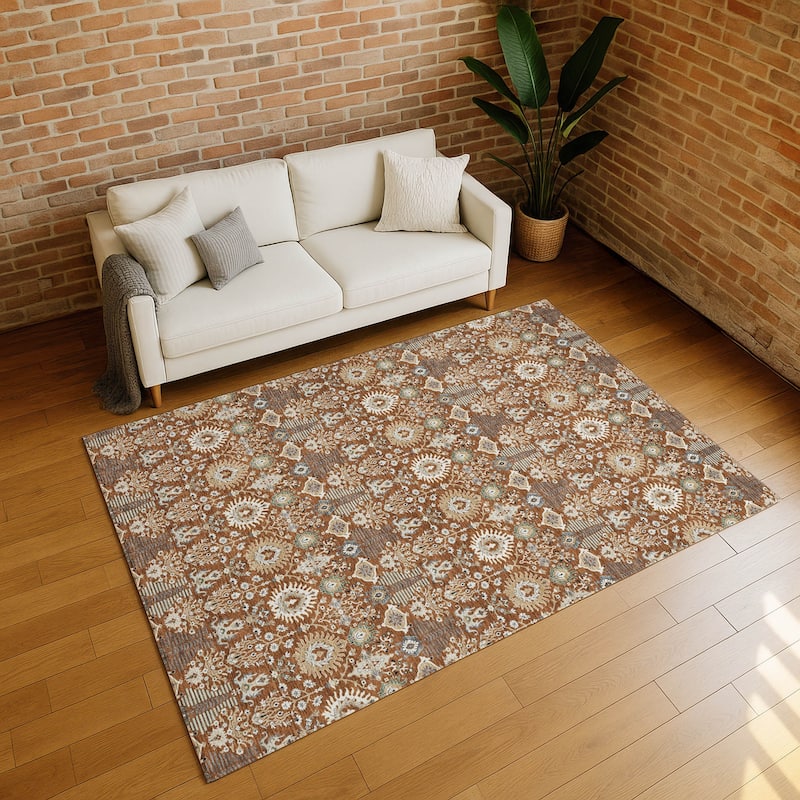 Machine Washable Indoor/ Outdoor Traditional Xander Chantille Rug
