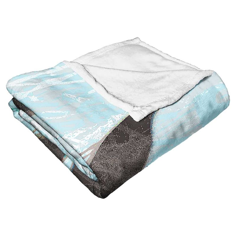 Warner Brothers Looney Tunes Silk Touch Throw Blanket