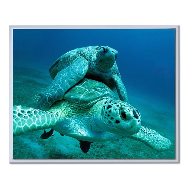 slide 2 of 3, Ready2HangArt 'Turtle' Framed Canvas Wall Art