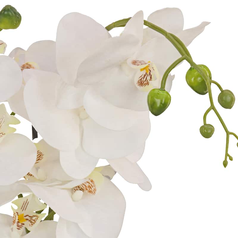 National Tree Company 21 in. White Orchid Flower in Wood Box