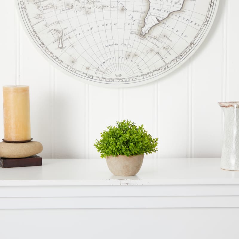 5" Boxwood Artificial Plant in Decorative Planter