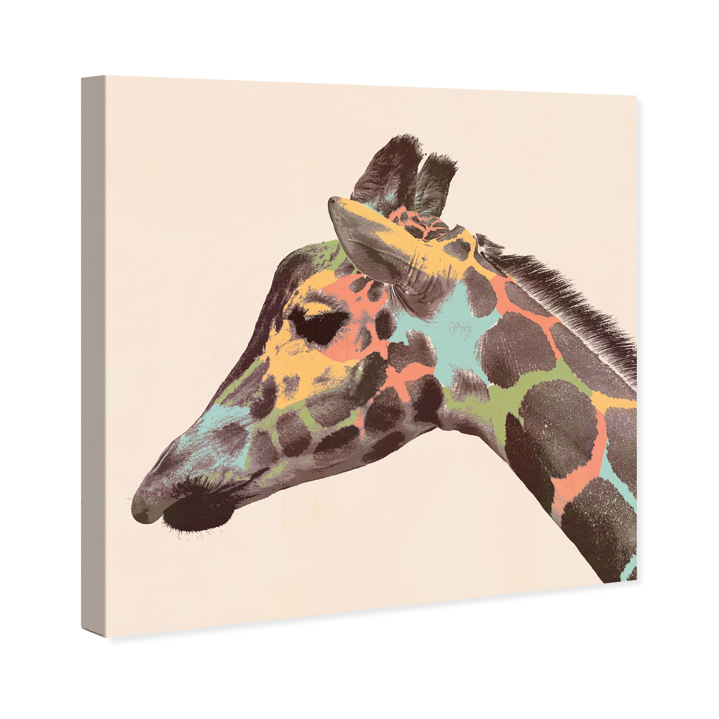 Olivias Easel Canvas 'Colorful Giraffe' Animals Brown Wall Art Print