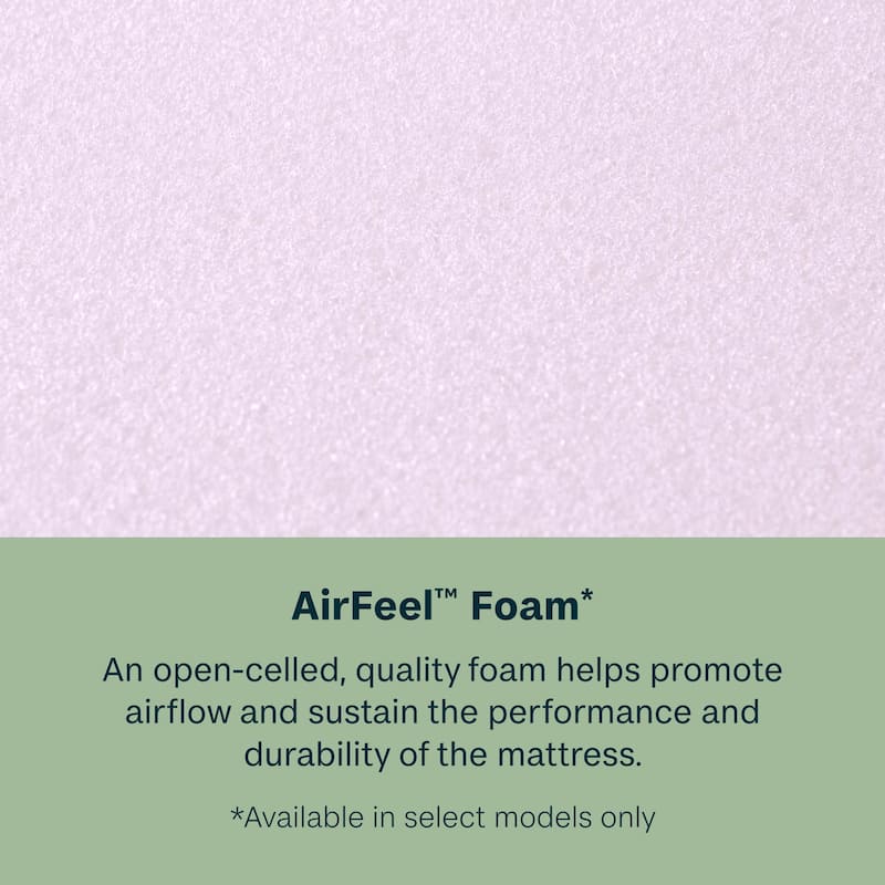 BeautySleep Slumberscape 14.25" Ultra Plush Pillow Top Mattress