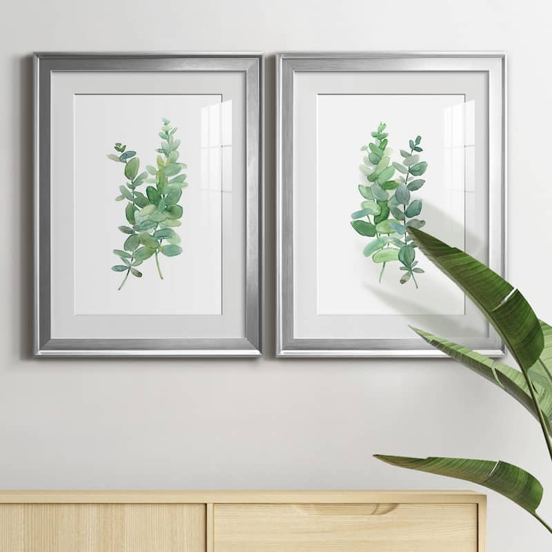 Eucalyptus I Premium Framed Print - Ready to Hang