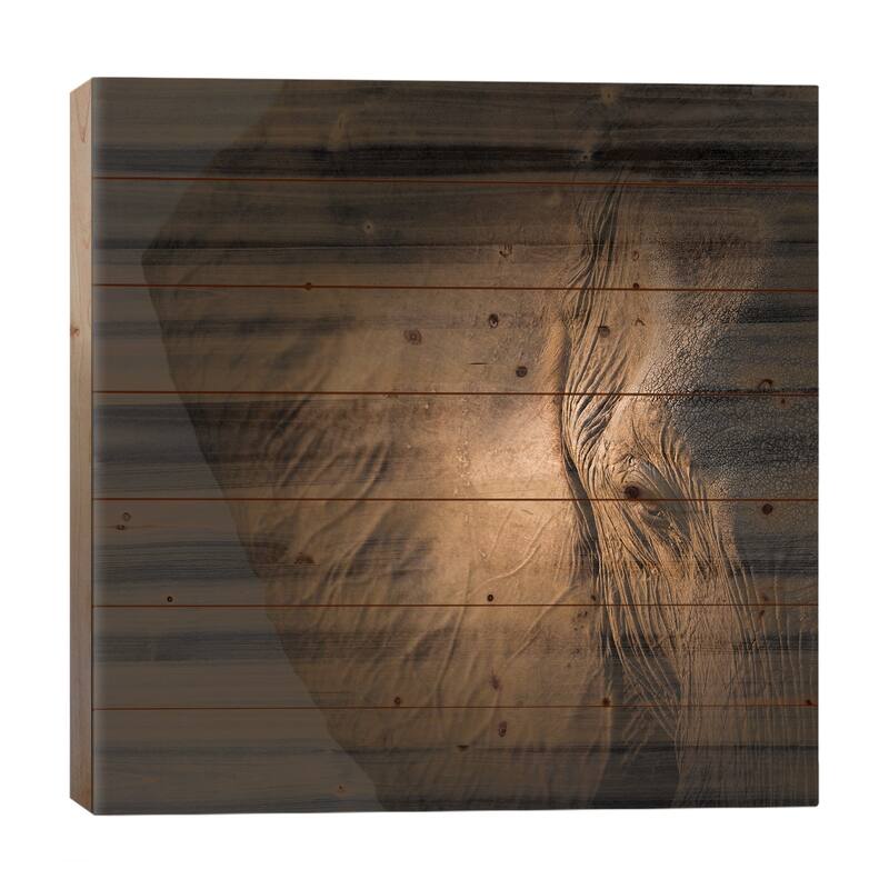 Gentle Giant Print On Wood by Louise Wolbers - Multi-Color - 26x26x1.5