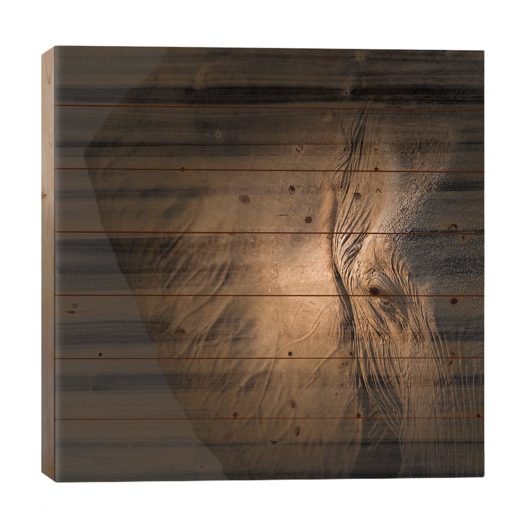 Gentle Giant Print On Wood by Louise Wolbers - Multi-Color