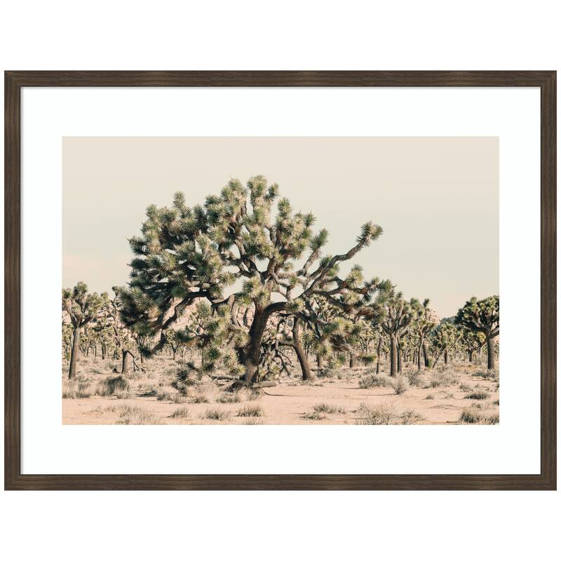 Kate and Laurel Joshua Tree No. 1 by Alicia Bock Framed Wall Art Print - 42 x 32 - Walnut