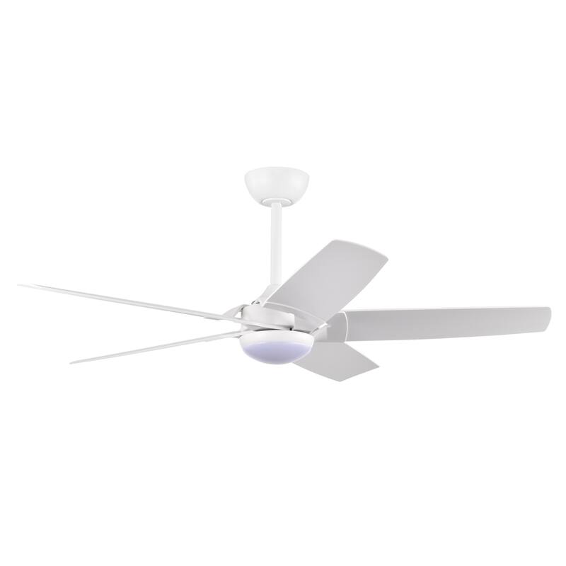 Angus 5-Blade Lighted Ceiling Fan with LED Lamp with Remote