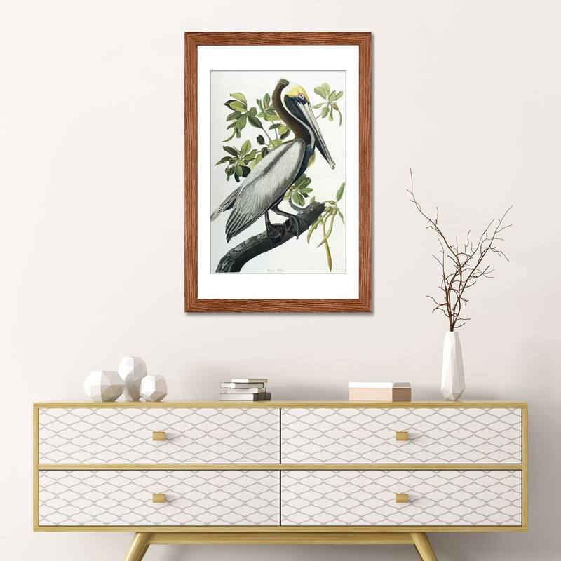 iCanvas "Brown Pelican, 1835 " by John James Audubon