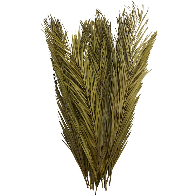 Dried Plant Palm Leaves Tall Home Decor Natural Foliage with Grass - Light Brown, Dark Brown, Green - Roche River Decor