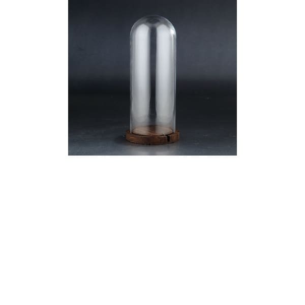 16" Clear and Brown Glass Display Dome with Base - N/A