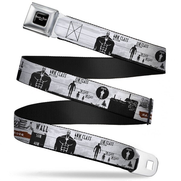 titan reversible belt