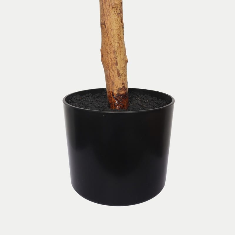 6FT Artificial Ficus Tree with Natural Trunk in Black Plastic Pot for Indoor Home Office Decor, 1pc/set