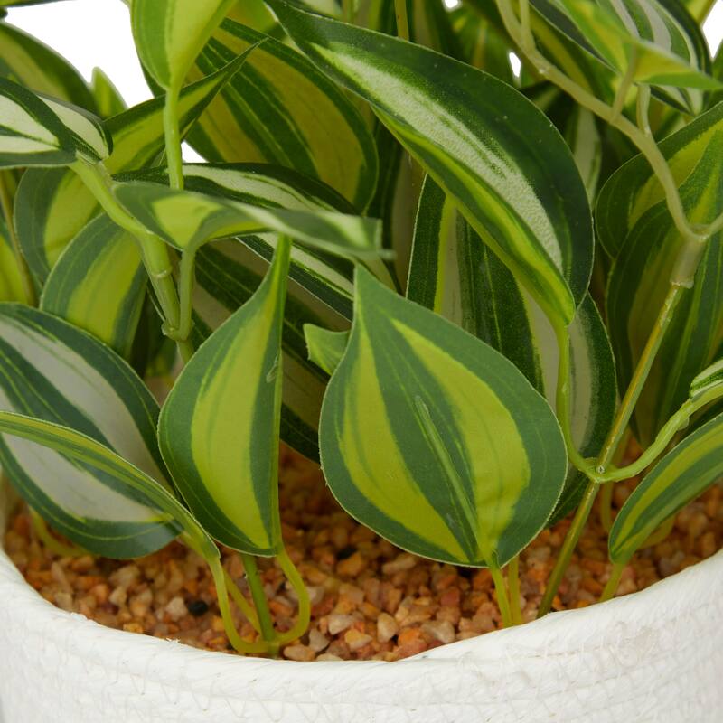 Faux Foliage Sanchezia Artificial Plant with Realistic Leaves and Rattan Pot and Black Stand - Green - Roche River Decor