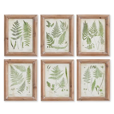 Assorted Frond Study Petite, Set Of 6