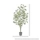 Potted Natural Touch Silver Dollar Eucalyptus Tree 4' - Green - Bed ...