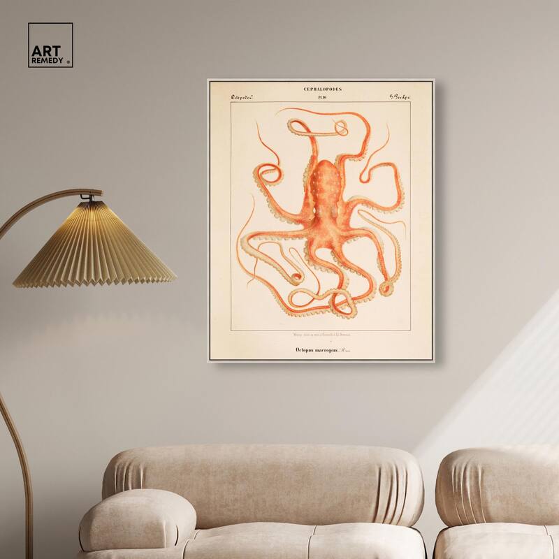 Verany The Octopus 1815 I Canvas by Art Remedy
