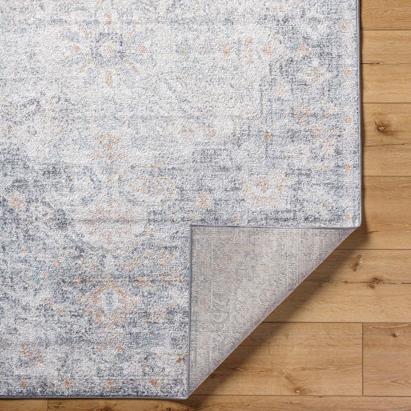 Livabliss Caressa Vintage Boho Area Rug