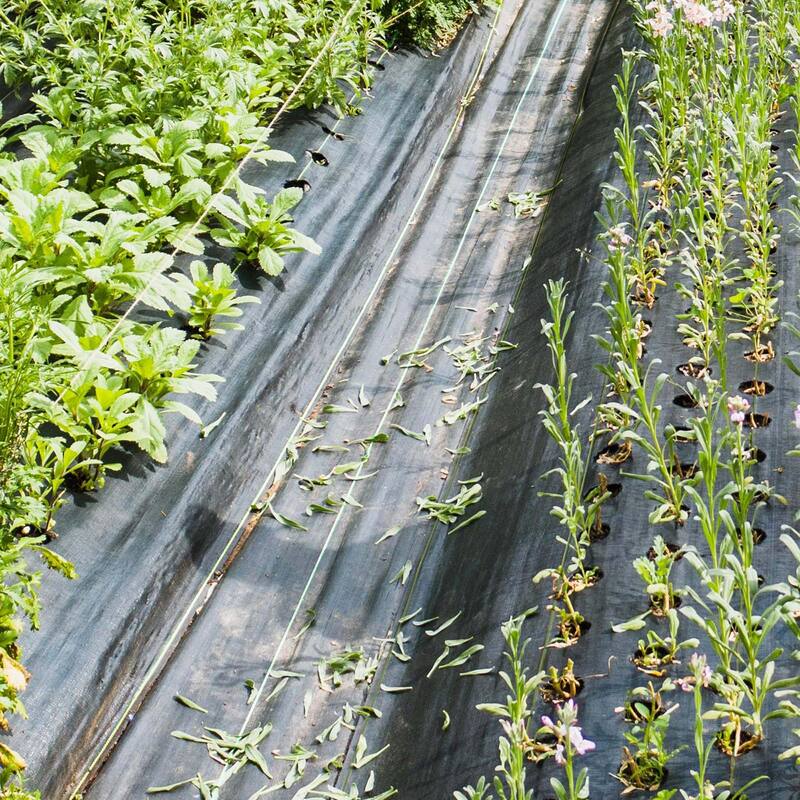 Costway 6.5 x 330FT/4 x 250FT/6 x 300FT Weed Barrier Landscape Fabric