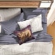 preview thumbnail 5 of 4, G.H. Bass & Co. Cable Knit Pinsonic Sherpa Comforter Set