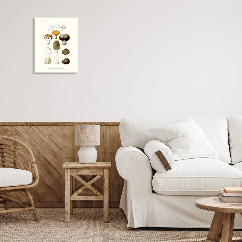 Stupell Botanical Mushroom Species Latin Nature Study Wood Wall Art - Brown