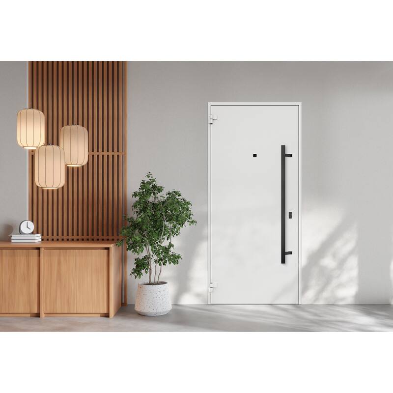 Front Prehung Steel Door 6072 Black Enamel Side and Top Window Sidelite W36+14xH80+16 Lh I Bedroom Door Bathroom Door