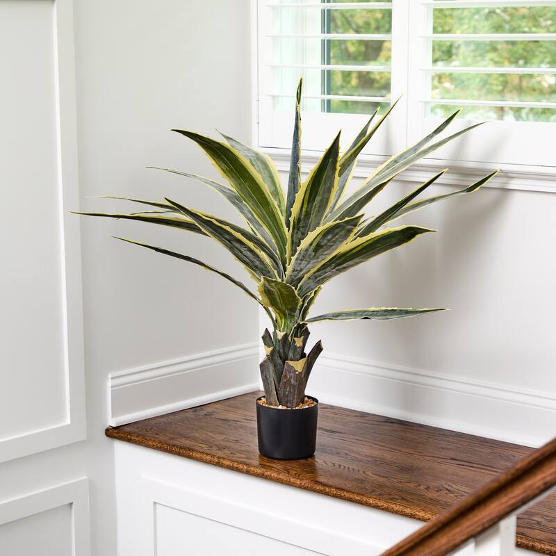 38" Potted Agave Plant