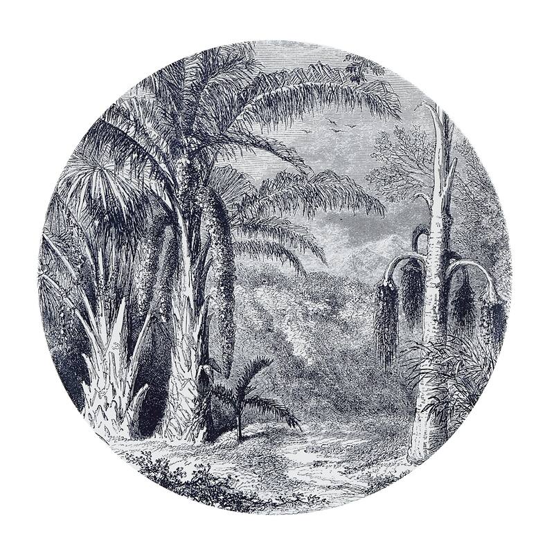 Renwil Maliya 5 Piece Wide Wall Art, White