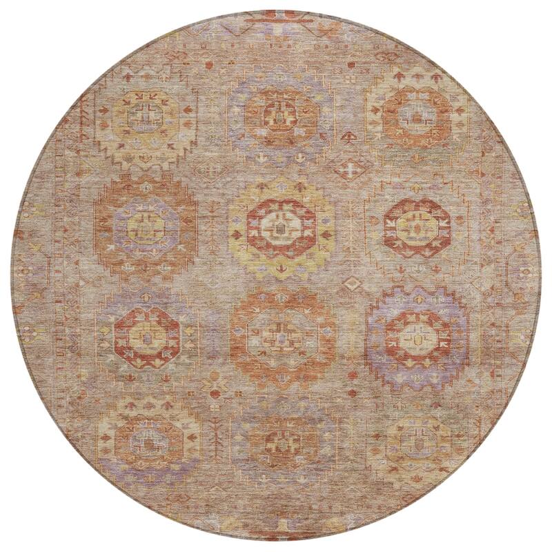 Machine Washable Indoor/ Outdoor Vintage Traditional Chantille Rug