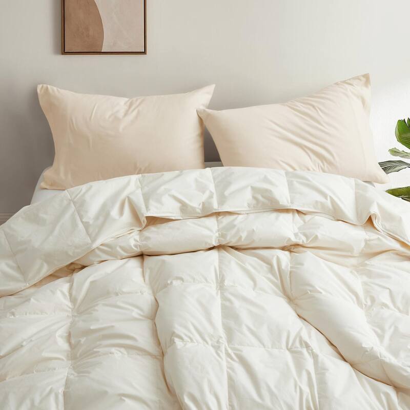 Lightweight Down Fiber Comforter with 100% Organic Cotton Cover