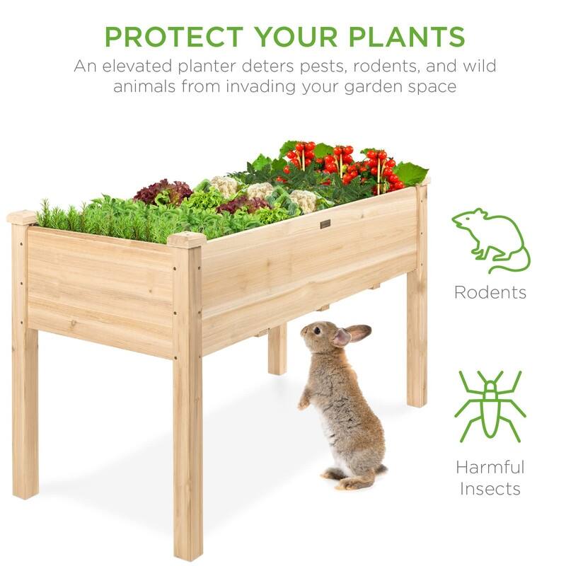 Raised Garden Bed - 48"D x 24"W x 30"H